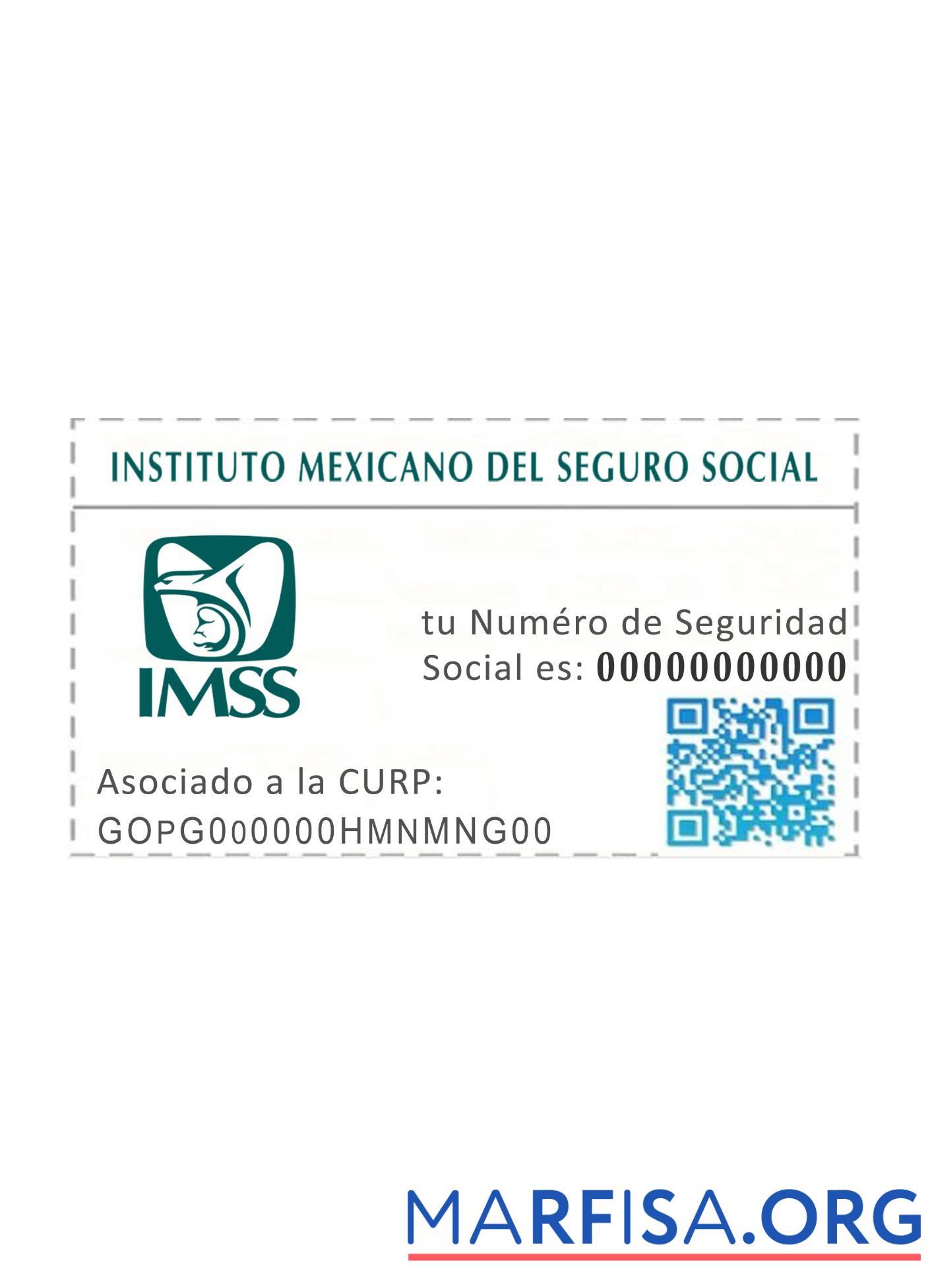 Blank Mexico NSS card example